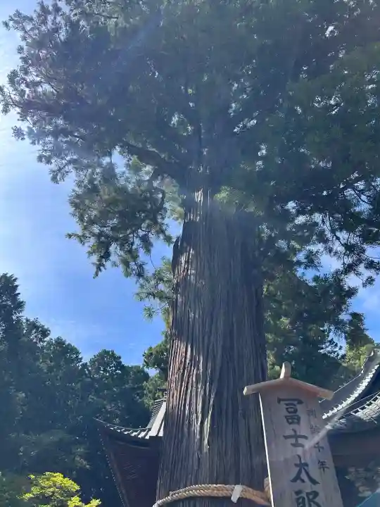 北口本宮冨士浅間神社(山梨県)