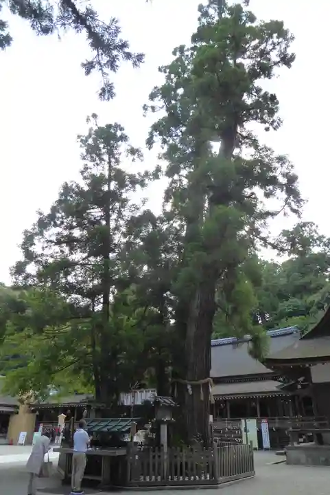 大神神社の自然