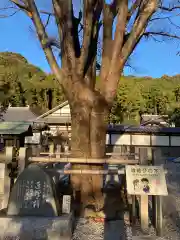 慈廣寺の自然