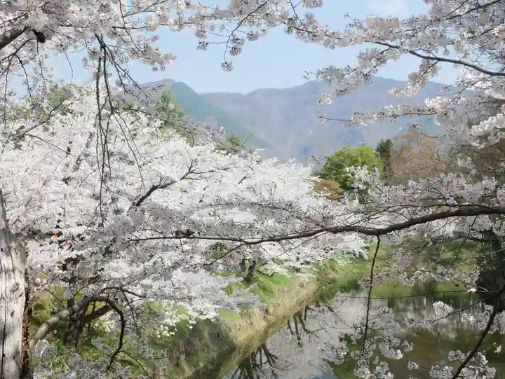 眞田神社の自然