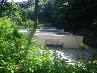 合槌稲荷社跡(遺構)の自然