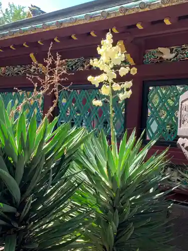 上野東照宮の自然