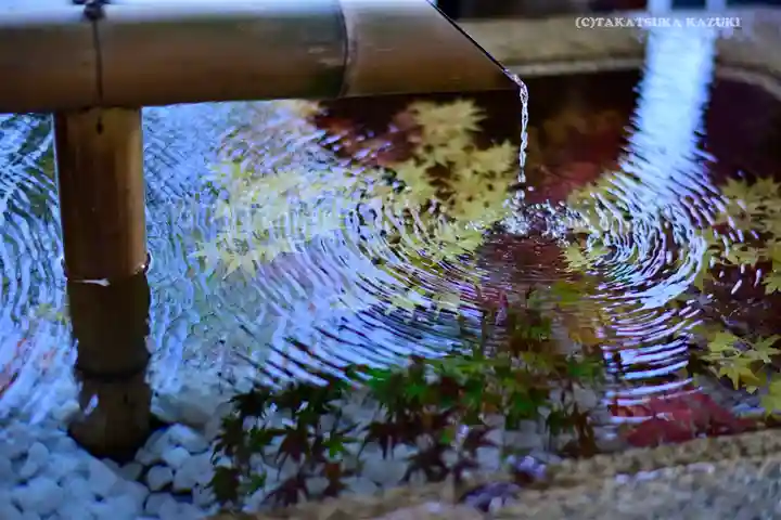 鶴岡八幡宮の手水舎