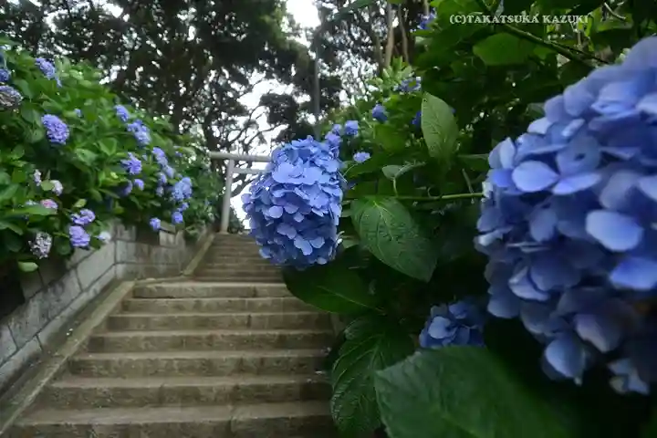 酒列磯前神社(茨城県)