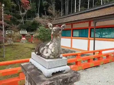 大原野神社の狛犬