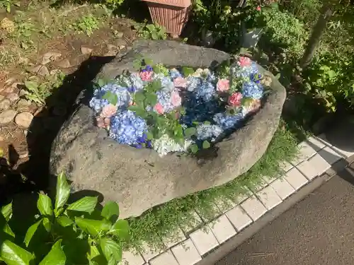 発寒神社の手水