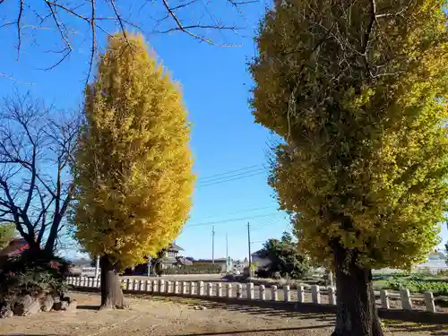 赤城神社(群馬県)
