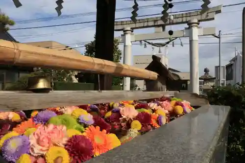 豊景神社の手水