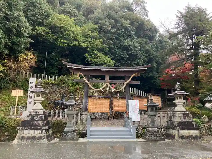 柏原八幡宮の鳥居