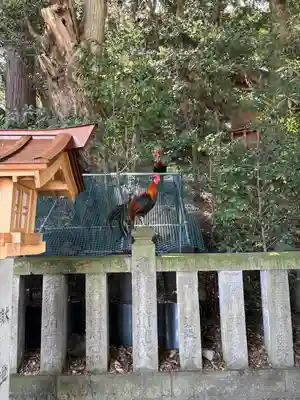 大甕神社(茨城県)