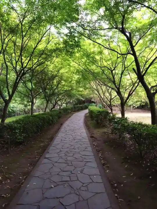 武雄神社(佐賀県)