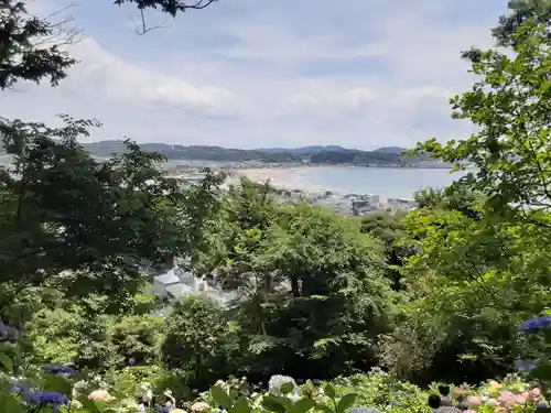 長谷寺(神奈川県)