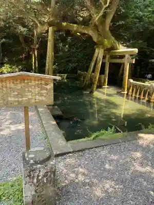 鹿島神宮(茨城県)