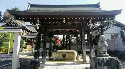 永源寺の手水舎