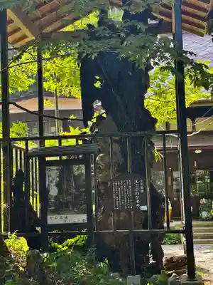 柳津虚空蔵尊 寳性院(宮城県)