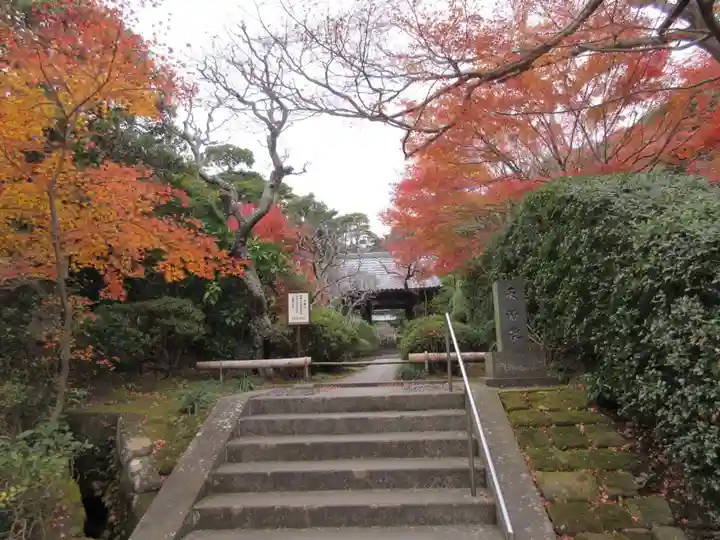 龍峰院(神奈川県)