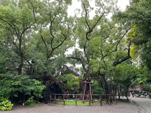 伊勢神宮外宮（豊受大神宮）の庭園