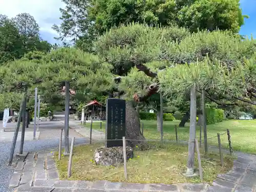 月岡神社の自然