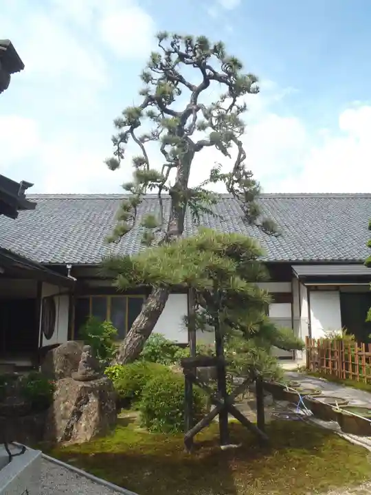 盛巌寺(岐阜県)