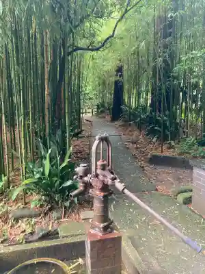浄智寺(神奈川県)