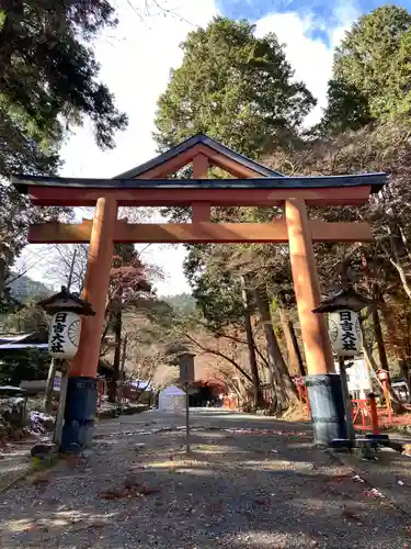 日吉大社の鳥居