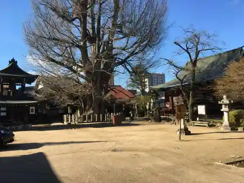 飛騨国分寺のその他建物
