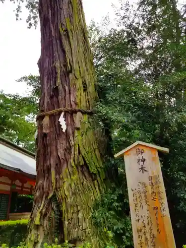 香取神宮の自然