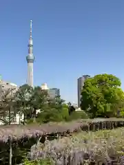 亀戸天神社(東京都)