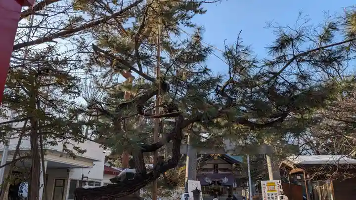 彌彦神社 (伊夜日子神社)の自然