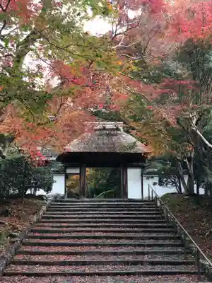 安楽寺の山門・神門