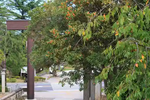 開成山大神宮の景色