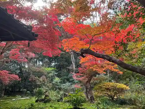 厭離庵(京都府)