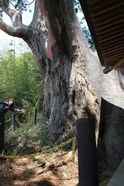 八幡神社の建物その他