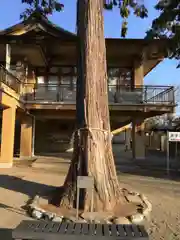 高麗神社の建物その他