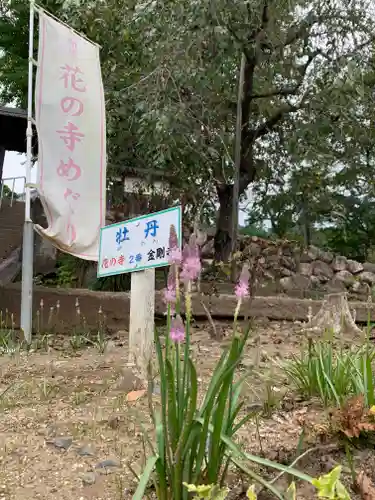 金剛寺(茨城県)