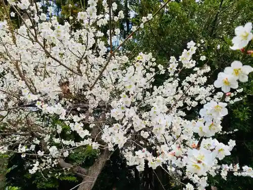 豊景神社(福島県)