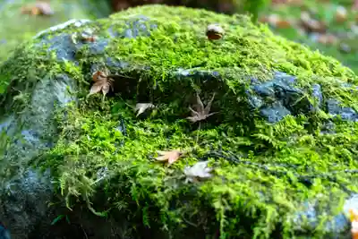 貴船神社奥宮(京都府)