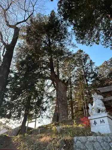 若宮八幡神社(山梨県)