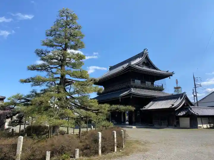 大通寺(長浜御坊)(滋賀県)