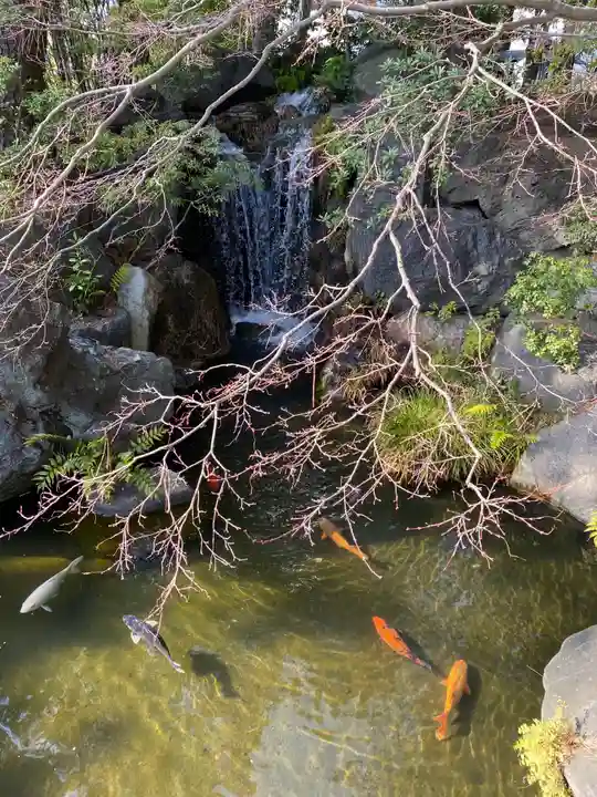 西新井大師総持寺の庭園