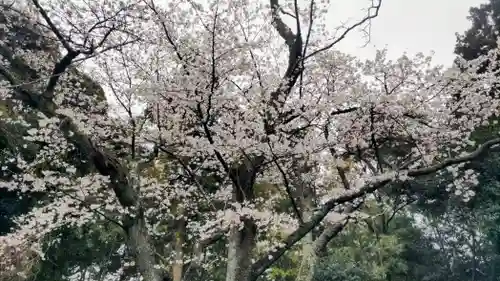 竹内神社(千葉県)