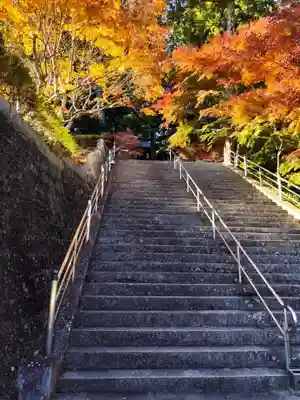 太龍寺(徳島県)