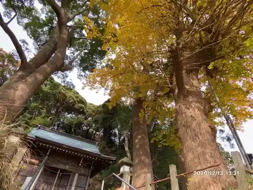 白岩神社の自然