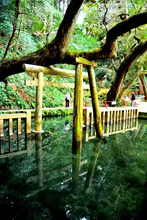 奥宮(鹿島神宮摂社)(茨城県)