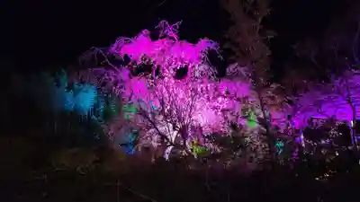 金蛇水神社の周辺