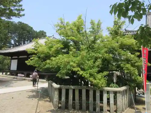 鶴林寺のその他建物
