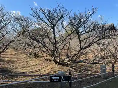 仁和寺(京都府)