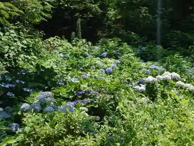 宇賀神社(神奈川県)