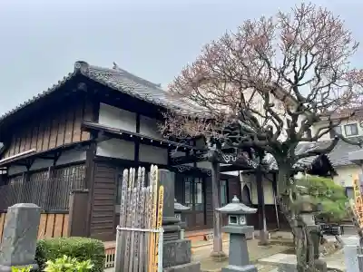 長運寺の{uncategorized: "未分類", other: "その他", undefined: "問題あり", building: "その他建物", grave: "お墓", sacred_gate: "鳥居", guardian: "狛犬", statue: "像", buddha: "仏像", history: "歴史", nature: "自然", garden: "庭園", animal: "動物", pagoda: "塔", temizu: "手水舎", mountain_gate: "山門・神門", sanctuary: "本殿・本堂", subordinate: "末社・摂社", art: "芸術", scenery: "景色", jizo: "地蔵", ema: "絵馬", goshuin: "御朱印", omikuji: "おみくじ", items: "授与品その他", amulet: "お守り", goshuincho: "御朱印帳", eats: "食事", festival: "お祭り", votive_dance: "神楽", shichigosan: "七五三参", wedding: "結婚式", experience: "体験その他", initially: "初詣", around: "周辺", anti_infection: "感染症対策"}