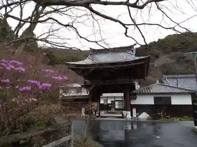 普門寺(切り絵御朱印発祥の寺)(愛知県)